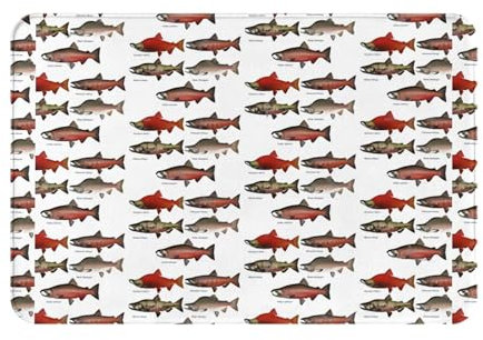 Hgbbdyyjj Waschbare, personalisierte bedruckte Flanell-Bodenmatte, Lachsfarben