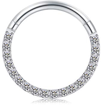 Briana Williams Silber Segmentring Clicker Hinged Septum Nasenring 8mm 10mm Chirurgenstahl 16G Helix Daith Tragus Ring Piercing