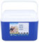 5L Portable Insulated Box, Large Capacity Hard Case, Keeps Food Fresh Drinks Cool, Ideal for Outdoor Activities Camping Picnic Travel, Blue