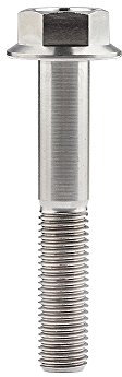 Yaruijia Vis hexagonales à tête bride en titane M10 x 30 35 40 45 55 60 65 70 75 80 100 mm Pas 1,25 mm (M10 x 60 mm)