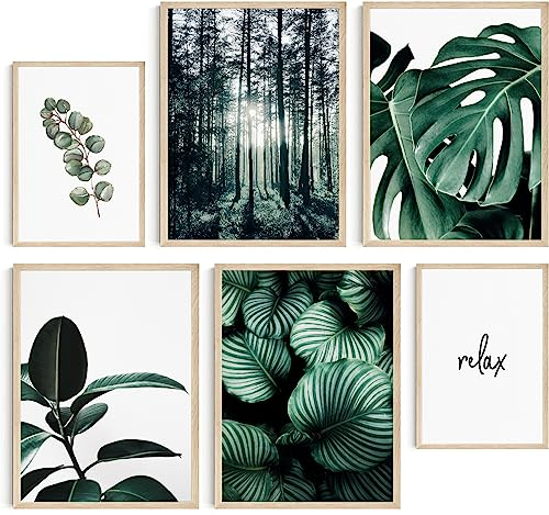 Hambient Tableau Decoration Murale Salon - SANS Cadre - Decoration Chambre - Tableaux, Posters et Arts Décoratifs - Deco Maison, Cuisine, Bureau (Plante Verte Botanique, 4 x 30x40, 2 x 21x30 cm)
