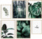 Hambient Tableau Decoration Murale Salon - SANS Cadre - Decoration Chambre - Tableaux, Posters et Arts Décoratifs - Deco Maison, Cuisine, Bureau (Plante Verte Botanique, 4 x 30x40, 2 x 21x30 cm)