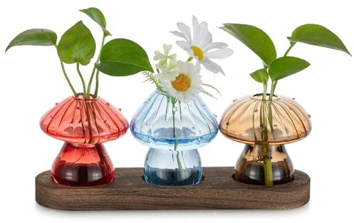 Glasseam Estación de Propagación de Hongos para el Hogar: Pequeño Jarrón de Cristal Juego de 3 Terrarios de Plantas con Soporte de Madera - Bonitos Floreros para Decoración Interior Salón Cocina