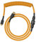 Glorious Gaming Premium Coiled Keyboard Cable - Vergoldetes USB-A (PC) auf USB-C (Tastatur), Schutz vor Kabelsalat, doppelt geflochtene Ummantelung, 5-poliger Aviator-Stecker Gold