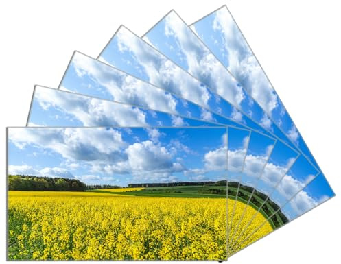 Wallario 6er Set Frühstücksbrettchen aus Glas, Glasunterlage, Glasbrettchen Blühendes Rapsfeld, Größe 14 x 23 cm, Sicherheitsglas