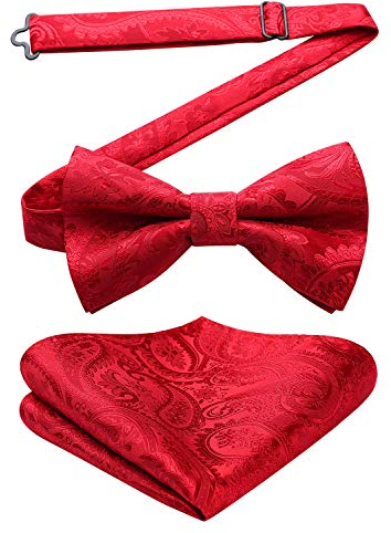 HISDERN Rote Fliegen für Herren Paisley Einfarbige Vorgebundene Verstellbare Fliege und Einstecktuch Set für Hochzeit Karneval Party