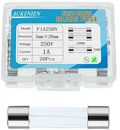 AUKENIEN 1A 1 Ampere 250V Glassicherung 5x20MM Sicherungen Glasrohrsicherung Feinsicherung Schnelle Schlag Glas Sicherung