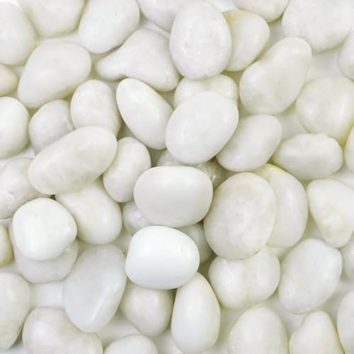 5LB Decorative White Pebbles for Plants - High Polished White River Rock Stones for Planters, Aquarium Gravels, Fish Tank, Vase Filler, Garden Pavement Rocks and Outdoor Decorative Stones