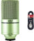 MXL 990 Condenser Microphone & Stagg SMC6 6 metre standard microphone cable