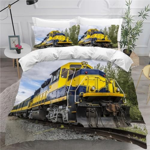 RANIEL Bettwäsche 135x200 Züge 3D Bettwäsche-Sets Eisenbahn 3 Teilig Weich Mikrofaser Bettbezug Set mit Reißverschluss + 2 Kissenbezüge 80x80 cm