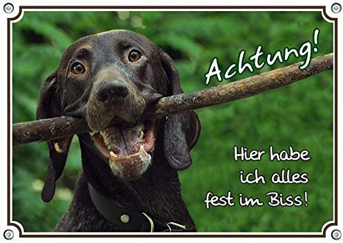 Petsigns Hundeschild - Deutsch Kurzhaar - Alu Schild in Premiumqualität lustig, DIN A5