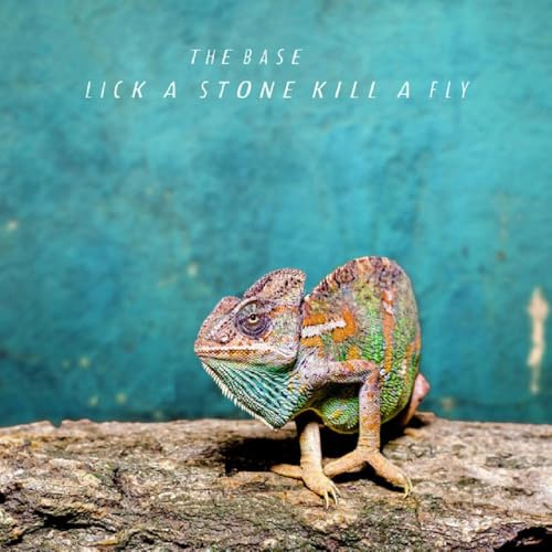 Lick a Stone Kill a Fly