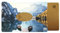 Color Pop Etui Rigide 1 Carte My PVC imprimé - 6 x 9,1 cm - Fabrication française en Loire-Atlantique (Imprimé barques)