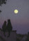 Inkognito Postkarte A6 • 2843 ''Vollmond Künstler: Quint Buchholz • Liebe & Romantik • Katzen