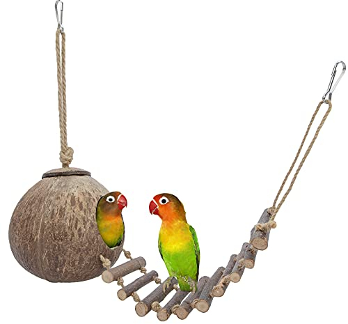 Niteangel Natürliche Vogelnester Kokosnuss Versteck mit Leiter, Vogel und Kleintierspielzeug (Haus mit Leiter, Glatte Oberfläche)