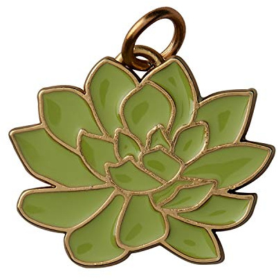 Yankee Candle Charming Scents Succulent Charm