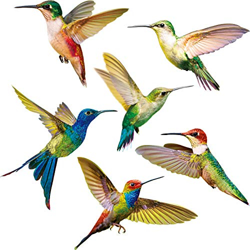 Blulu Kolibri Fenster Haftet Vogel Fenster Aufkleber Anti-Kollision Fenster Haftet Abziehbildern an, um Vogelschläge auf Fenster Glas(6 Stücke)