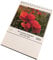 Tischkalender 2025 - Mit positiven Gedanken durch das Jahr - 15x15 cm - Mit inspirierenden Sprüchen & einzigartigen, selbstgeschossenen Fotografien