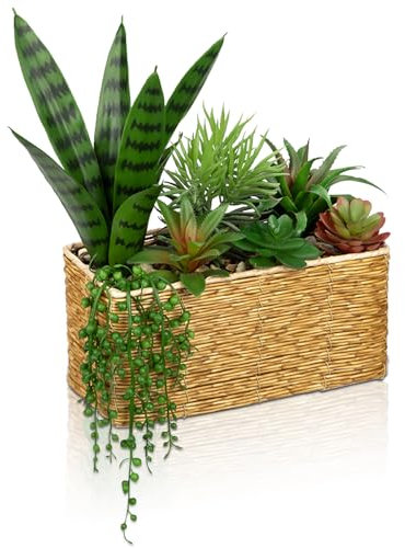 Plantas suculentas para decoración del hogar, cocina, oficina, escritorio, estantes