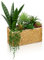 Plantas suculentas para decoración del hogar, cocina, oficina, escritorio, estantes