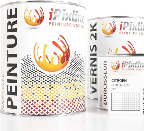 ipixline Kit Retouche Peinture Carrosserie Voiture - Pot Peinture Auto 500 ml, Vernis 2k 330 ml, Durcisseur 170 ml - Compatible avec Citroen - Noir Paillete FXG