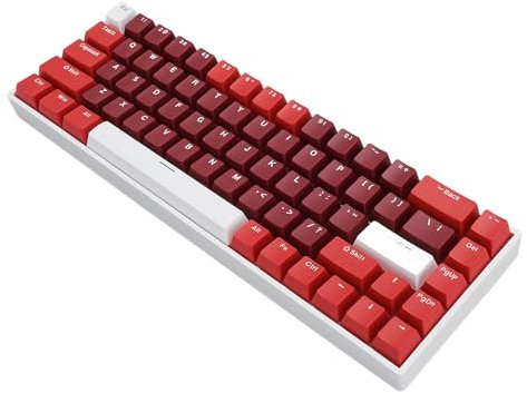 Vikye Clavier de Machine à écrire, 68 Touches, 3 Modes, Clavier de Jeu Mécanique avec Rétroéclairage Dynamique RVB, Interrupteur Bleu Remplaçable à Chaud (Rouge et Blanc)
