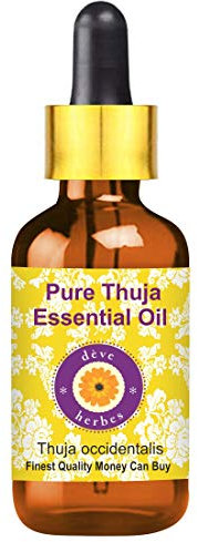 Deve Herbes Pure Huile essentielle de Thuya (Thuja occidentalis) avec compte-gouttes en verre Distillé à la vapeur qualité thérapeutique naturelle 10ml (0,33 oz)