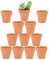 Yishang Lot de 12 pots en terre cuite de 6,3 cm avec trous de drainage, petits pots de poterie en céramique d'argile, pots de fleurs de cactus en terre cuite, pots de plantes succulentes pour plantes