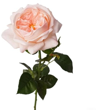 Lot de 6 roses artificielles et pivoines au toucher réaliste, fait à la main pour décorer les tables à manger et les salons (rose pâle)