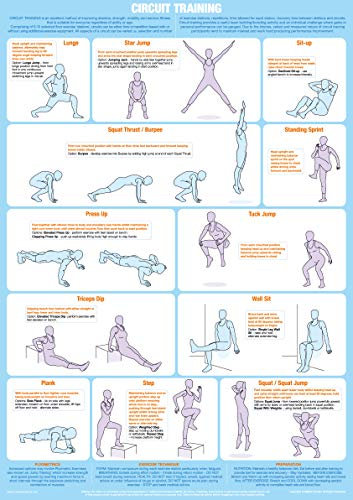 Exercise Poster Circuit Training Chart (A3 Laminated)