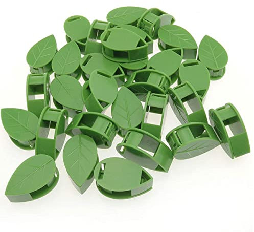 XNAUMAR Grüne Neue Rebe Grünpflanze Innenveredelung Clip grüne Blume Fixierer Kletterwand Nagel kostenloser Aufkleber Rahmen Wand-10 Stück, grün