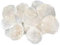 Decpero Perlmuttscheiben Natur I 50 Stück I ca. 5-10 cm I Muschelscheibe