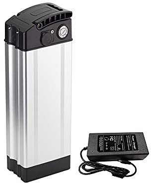 Seilylanka avec Chargeur 48V 13S6P 21Ah Batterie e-Bike Li-ION vélo électrique Whitebait Haiba Forme 370x90x135mm