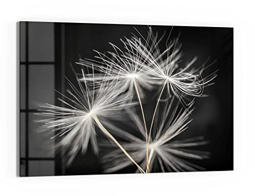 DEQORI Glas-Magnettafel | 90x60 cm groß | Motiv Samen der Pusteblume | Memo-Board aus Glas | Magnetboard inkl. Magnete, Stift & Tuch für Küche & Büro | Tafel magnetisch & beschreibbar