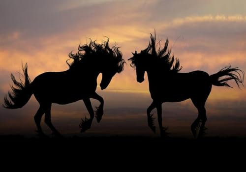 Modern Minimalist 3D Photo Wallpaper Creative Sunset Landscape Black Horse Background Wall 430cmx300cm Living Room Kitchen Bedroom Wall Mural