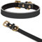 LOVPE Bequemes gepolstertes Leder-Halsband mit goldener Strass-Schnalle, Hundehalsband/Katzenhalsband für Katzen, Welpen, Kätzchen, kleine Hunde (XS Halsumfang: 20,3 - 27,9 cm), Schwarz)