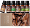 SALKING Woody Essential Oils Set for Men, 100% Pure Premium Aromatherapy Fragrance Oils for Diffuser, Humidifier - Frankincense, Teakwood, Sandalwood, Cypress, Cedarwood, Patchouli (6 x 10 ML)