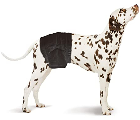 Petastic Einweg-Hundewindeln für Rüden, Größe S-M für Taille von 30-46 cm, 12 Stück