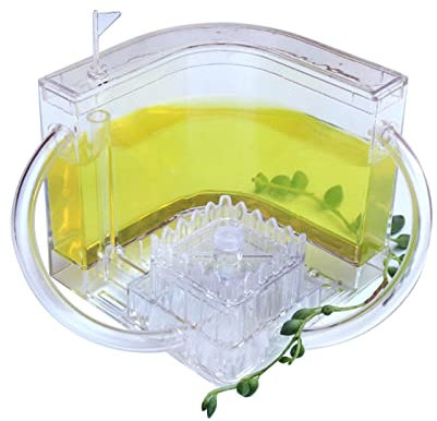 Eayoly Ant Nest Ant Farm Ant Maze Ameisennest Acryl Ameisenvilla Ants Feeding Terrariums Transparent Ant Habitat Ameisenfarm Transparent Ameisennest Ameisenzucht Haus Wissenschaft Pädagogisches