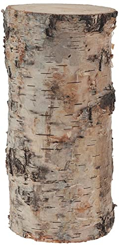 matches21 Birkenstämmchen Baumstamm gerader Schnitt - Holzstamm Naturmaterial DIY Bastelmaterial - je 1 STK. 7 x 15 cm