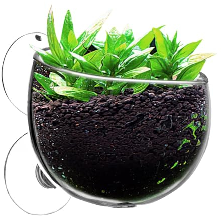 Suction Cup Aquatic Plant Cup,Aquarium Plant Pots With Suction Cups - Aquatic Planter With Suction Cups, Red Shrimp Live Plants Fish Tank Holder, Aquarium Plant Pots - Clear Glass Pot For Fish