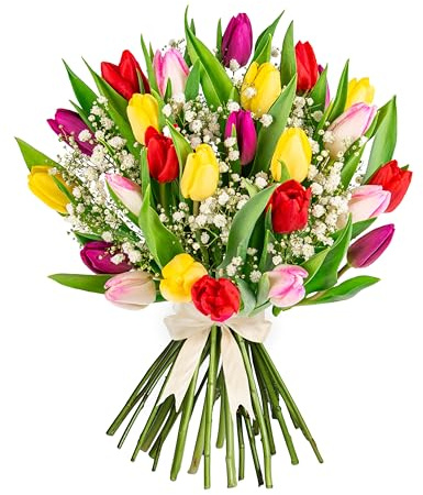 Tulips - Flowers - Fresh Bouquet - Fresh Tulips - Birthday Flowers - Anniversery Flower - Colourful Bouquet - Spring Bouquet (Medium)