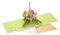 Hallmark Signature Paper Wonder Pop Up Geburtstagskarte (Paris, Trés Happy)