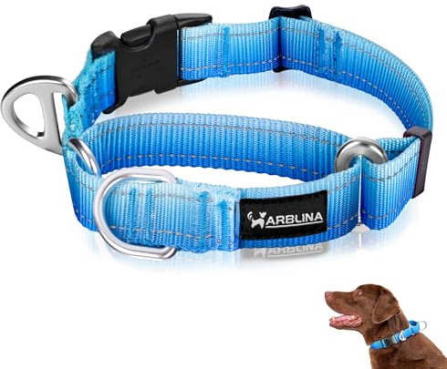 Arblina Martingale Hundehalsband, Reflektierendes Zugstopp Halsband Hunde für Große Mittlere und Kleine Hunde, Nylon Zughalsband mit Stopp für Hunde Whippets, Greyhounds, Saluki, Blau,S