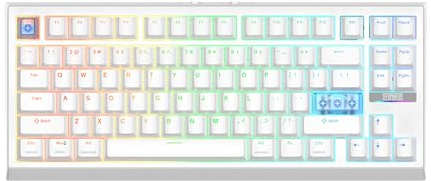EPOMAKER G84 HE Tri-Mode Hall Effect Gaming Keyboard for PC/Mac (White) | 8K Polling & 8000mAh, RGB Shine-Through, 0.125ms, Adjustable & Rapid Triggering, SOCD & DKS, Hot-Swap, PBT Keycap