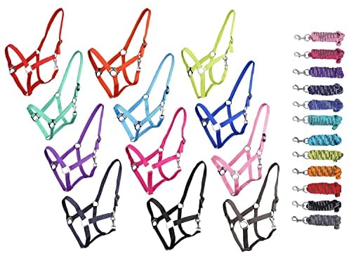 NETPROSHOP Halfter ODER Führstrick Einfarbig für Ihre Lieblinge Mini Shetty bis XL Full, Groesse:Pony, Farbe:Rosa