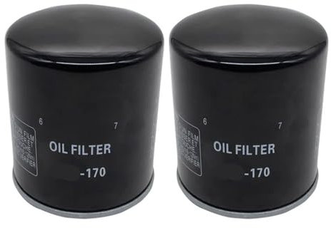 Filtro dell'olio for XL 883 SPORTSTER 2004-2008 XL1200R SPORTSTER ROADSTER 2004-2008 XL883R SPORTSTER 2002-2007(2 PCS)