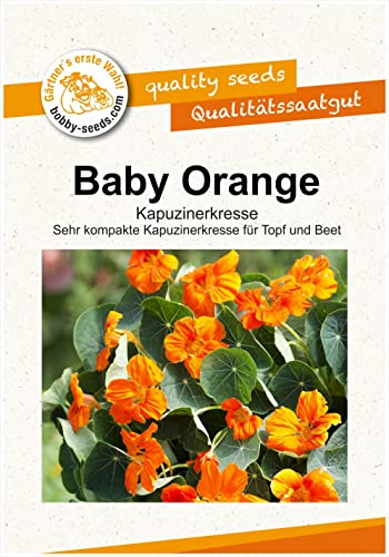 Blumensamen Baby Orange Kapuzinerkresse Portion