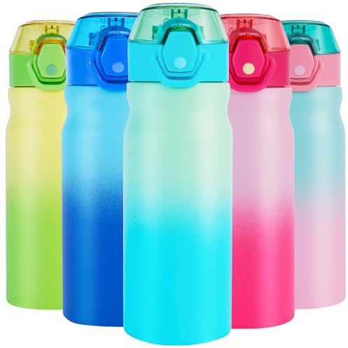 SUPPRUI Insulated Water Bottles,550ml Stainless Steel Water Bottle with Straw,Metal Water Bottle Insulated,Double Walled Water Bottle Flask Leakproof Keep Drinks Hot Cold (Light Blue)