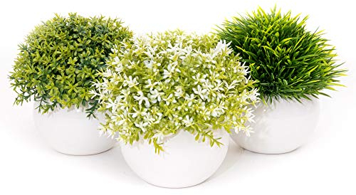 Coradoma Künstliche Pflanzen im Topf 3er Set Keramik Wohnzimmer Deko modern | Kunstpflanze Mini Sukkulente Küchendeko | Kunstblumen Fensterbank Schreibtisch Wanddeko Balkon Büro Schlafzimmer Hochzeit